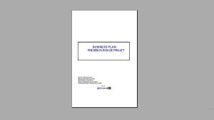 Business plan modèle vierge à télécharger + comment le remplir
